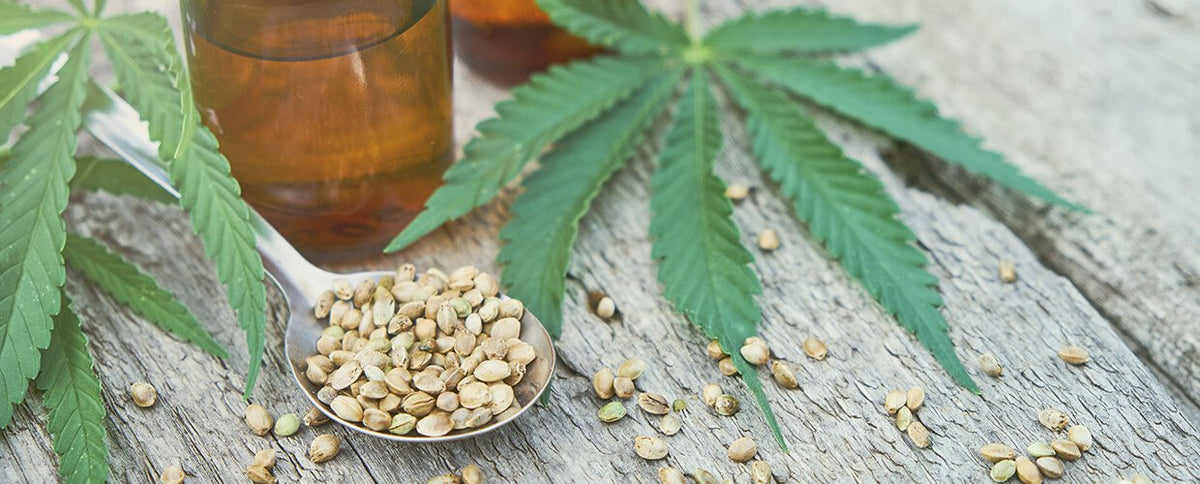 CBD Oil, Hemp Extract, Hemp Seed Oil—What Does It All Mean?