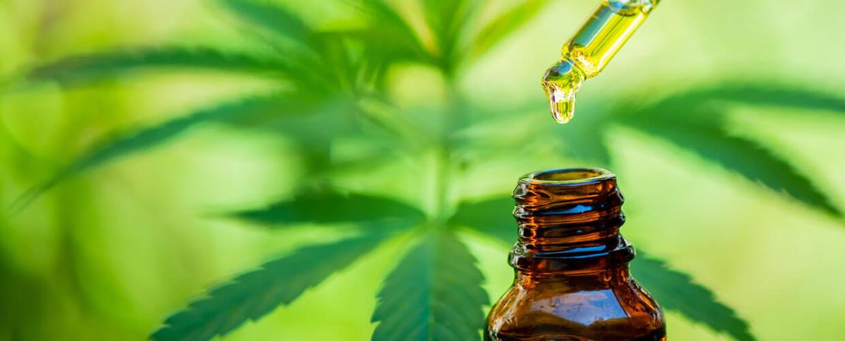 Can CBD Help Muscle Recovery? Here's the Deal