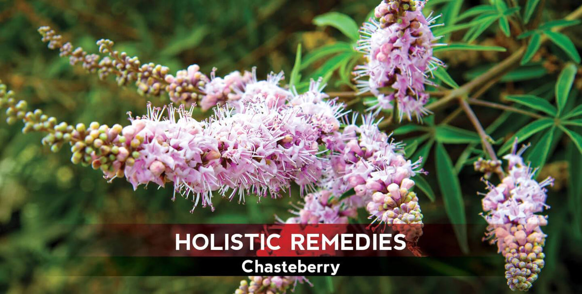 Chasteberry: The Female-Friendly Fruit