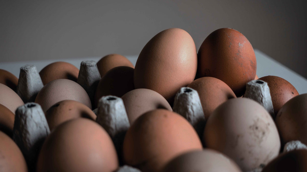 3 Reasons Why You Should Be Eating More Eggs Every Day