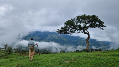Spend 5 Uninterrupted Days in Costa Rica's Central Valley with HIGHLANDER