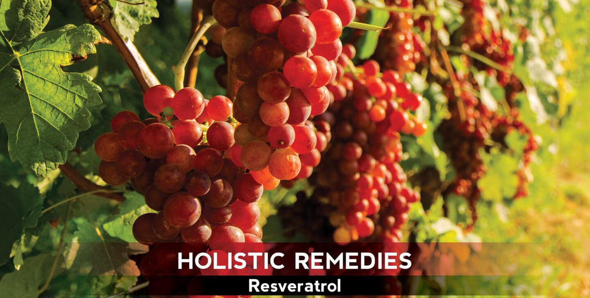 Resveratrol: The Famous Age Fighter