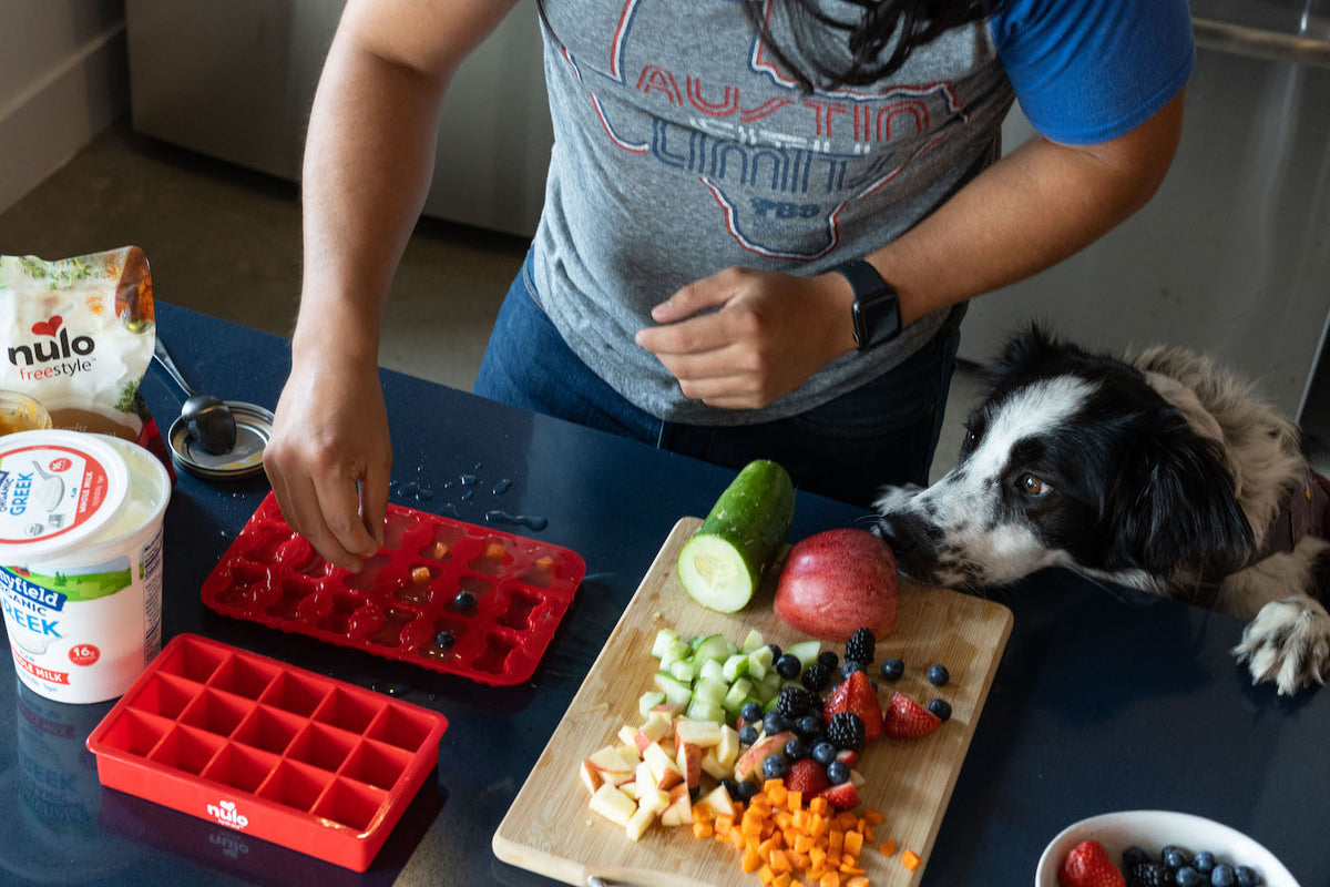 Worried About Keeping Your Pet Cool This Summer? This Is A Must Try Pupsicle Recipe