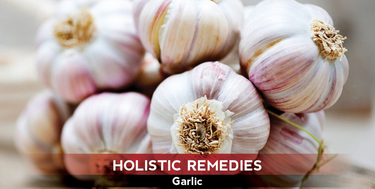 Garlic: The Pungent Heart Healer