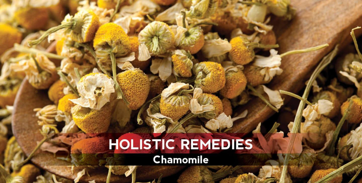 Chamomile: The Skin- and Mind-Soothing Flower