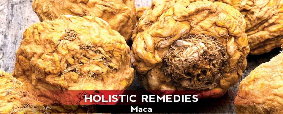 Level Up Your Libido With Maca, Nature's Aphrodisiac